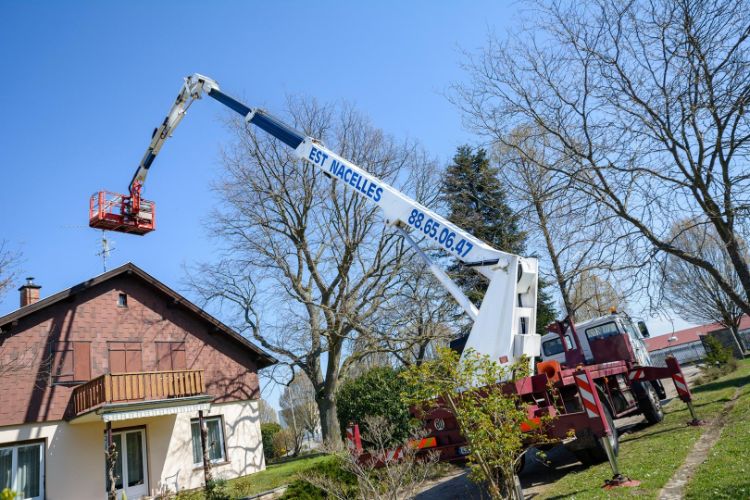 Élagage nacelle Schiltigheim